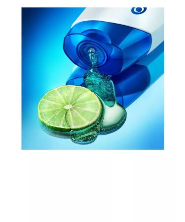 Head & Shoulders Shampoo control over fat content - Buy Online on GoSupps.com