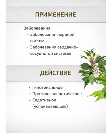 Sage Motherwort 50 g Healing herbs - Buy Online on GoSupps.com