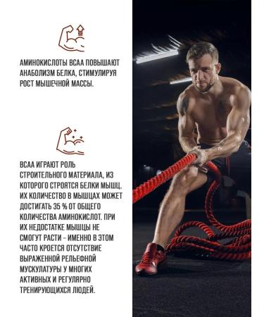 Scitec Nutrition BCAA XPress BCA 2 1 1 amino acids Kola Lime 280g - Buy Online on GoSupps.com