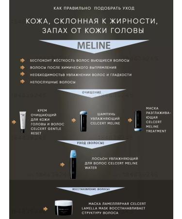 LebeL Hair shampoo moisturizing professional 250 ml - Buy Online on GoSupps.com