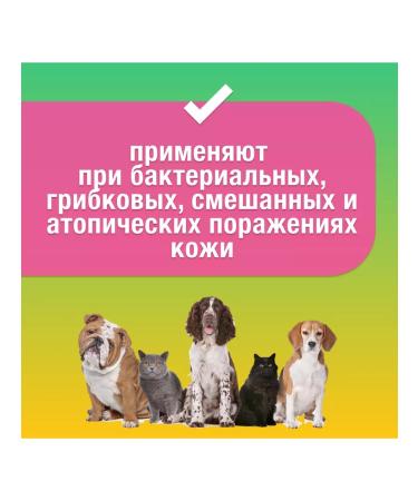 CYTODERM Heraldic shampoo with chlorhexidine for cats and dogs 200 ml - Buy Online on GoSupps.com