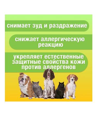 CYTODERM Allergies and itching shampoo for cats and dogs 200 ml - Buy Online on GoSupps.com