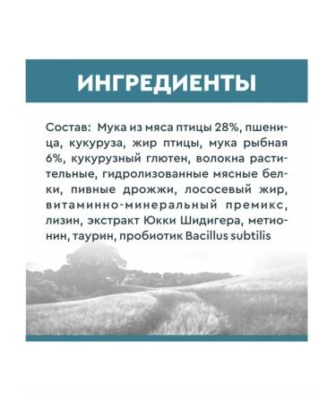 SECRET FOR PETS premium Dry food for cats salmon 2 kg secret - Buy Online on GoSupps.com