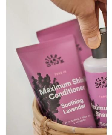 Urtekram Eco air conditioning for shine hair soothing lavender 180ml - Buy Online on GoSupps.com