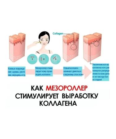 ZGTS Mesoroller for growth and from hair loss 0.5 mm for the face - Buy Online on GoSupps.com