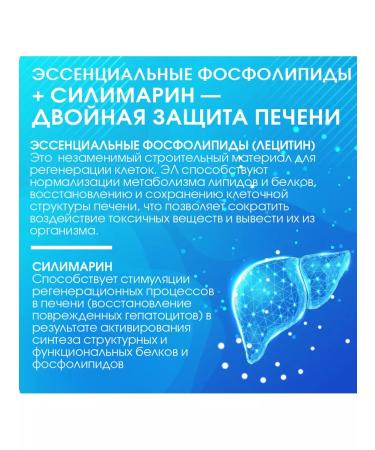 Miopharm Lecithin Blueline 100 liver capsules - Buy Online on GoSupps.com