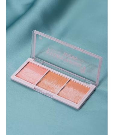 Beautiful detail Highlighter blush for the face