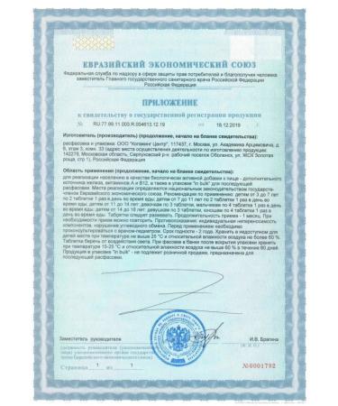 ViTime Kidzoo iron 60 chewing tablets 1 - Buy Online on GoSupps.com