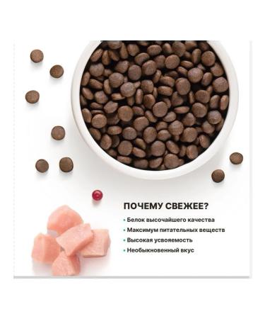 PREMIER For kittens with a turkey 400g - Buy Online on GoSupps.com