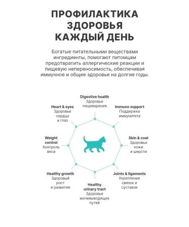 PREMIER For kittens with a turkey 400g - Buy Online on GoSupps.com