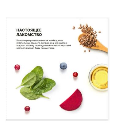 PREMIER For kittens with a turkey 400g - Buy Online on GoSupps.com