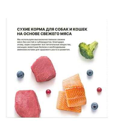 PREMIER For kittens with a turkey 400g - Buy Online on GoSupps.com