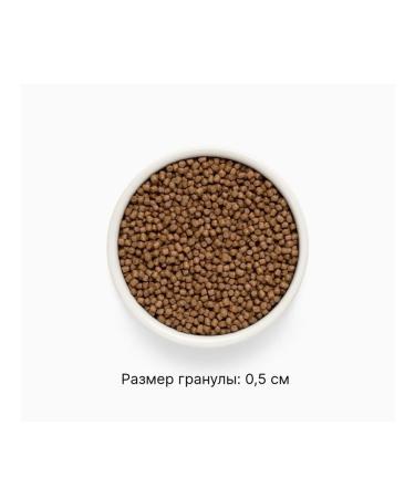 PREMIER For kittens with a 2kg turkey - Buy Online on GoSupps.com