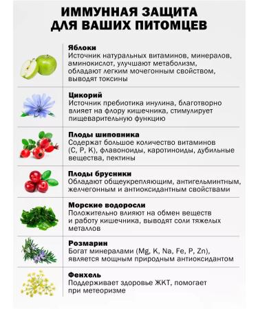 ZooRing Dry food for kittens kitten lamb lamb and berries 10 kg - Buy Online on GoSupps.com