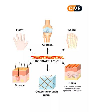 CIVE Collagen jelly with chondroitin glucosamine and MSM 30 sticks - Buy Online on GoSupps.com