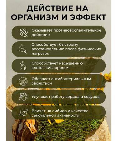 Mushroom Grow Cordyceps military "armed" fruit body 160 capsules - Buy Online on GoSupps.com