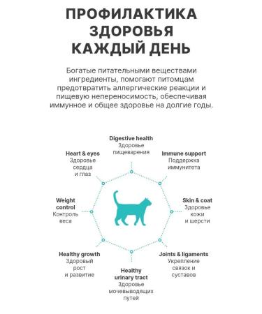 PREMIER For cats with turkey 400g - Buy Online on GoSupps.com