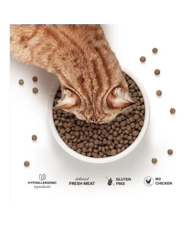 PREMIER For cats with turkey 400g - Buy Online on GoSupps.com