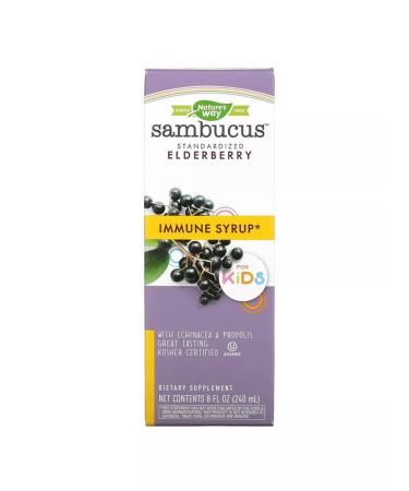 Nature's Way For immunity Buzin Propolis and Echinacea 240 ml - Buy Online on GoSupps.com