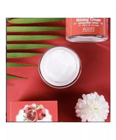 Jigott Face cream is nutritious - Buy Online on GoSupps.com