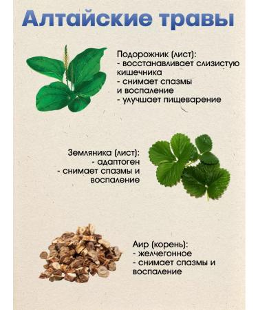 Cedar World Probiotics and prebiotics for Bipilife Bipilife Bipilife. - Buy Online on GoSupps.com