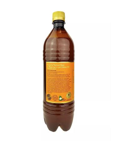 Promyod Combuche Tea kvass live tea mushroom set 4 pcs 1 liter - Buy Online on GoSupps.com