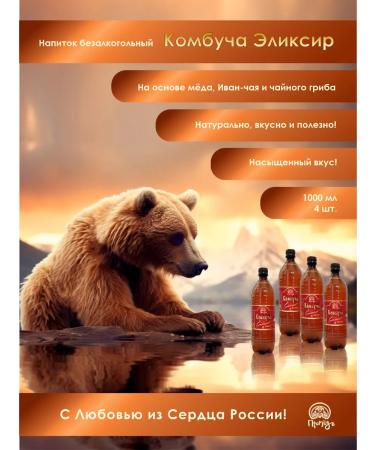 Promyod Combuche Elixir live tea mushroom set 4 pcs 1 liter - Buy Online on GoSupps.com
