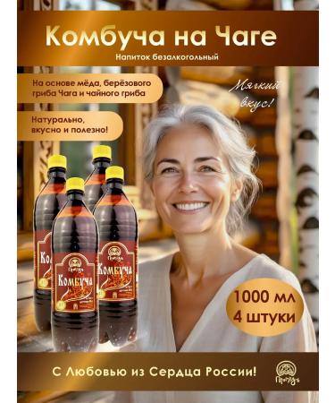 Promyod Combuche on the chaga live tea mushroom set 4 pcs 1 liter