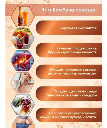 Promyod Combuche on the chaga live tea mushroom set 4 pcs 1 liter - Buy Online on GoSupps.com