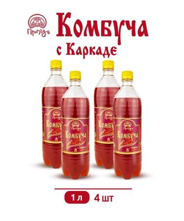 Promyod Combuche with the frame live tea mushroom set 4 pcs 1 liter - Buy Online on GoSupps.com