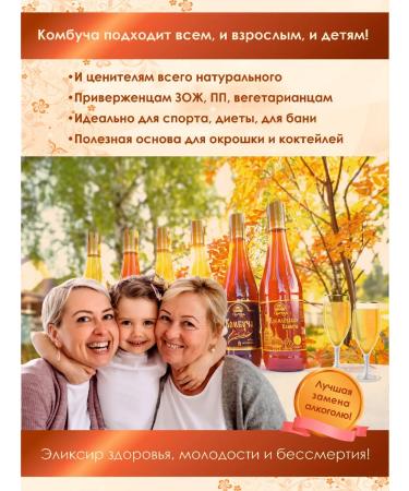 Promyod Kombucha "Tea kvass" 6pc x 0.5l tea mushroom Ivan-tea and honey - Buy Online on GoSupps.com