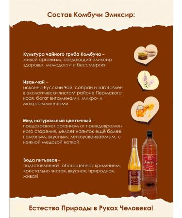 Promyod Kombucha "Tea kvass" 6pc x 0.5l tea mushroom Ivan-tea and honey - Buy Online on GoSupps.com