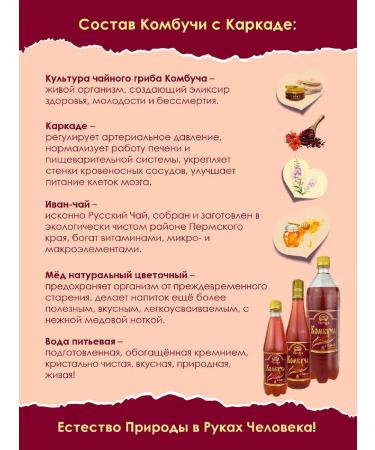 Promyod Combuche with barking on honey 6 pcs x 0.5 l tea mushroom - Buy Online on GoSupps.com