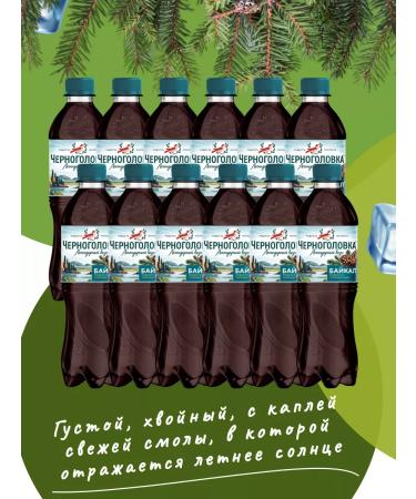 Chernogolovka Drink gas of Baikal 500ml 12pcs UP - Buy Online on GoSupps.com