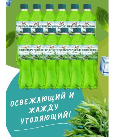 Chernogolovka Drink gas tarkhun 500ml 12pcs UC - Buy Online on GoSupps.com