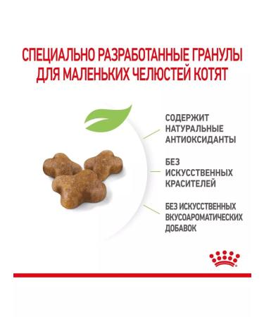 ROYAL CANIN Dry Kitten food for kittens up to 12 months 300g 2pcs - Buy Online on GoSupps.com