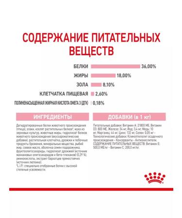 ROYAL CANIN Dry Kitten food for kittens up to 12 months 300g 2pcs - Buy Online on GoSupps.com