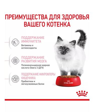 ROYAL CANIN Dry Kitten food for kittens up to 12 months 300g 2pcs - Buy Online on GoSupps.com