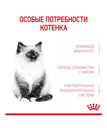 ROYAL CANIN Dry Kitten food for kittens up to 12 months 300g 2pcs - Buy Online on GoSupps.com