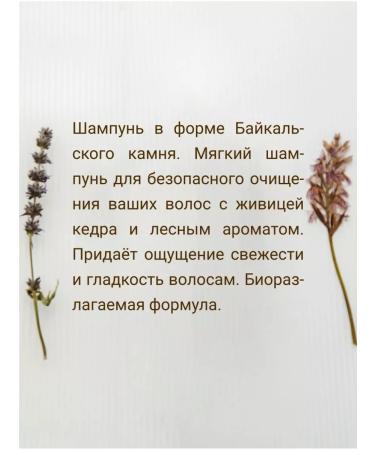 Mystic Lake Natural solid cleansing hair shampoo CEDAR BIO - Buy Online on GoSupps.com