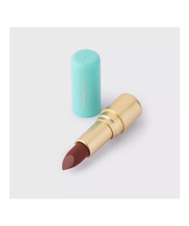 VIVIENNE SABO Lipstick Nude Createur matte persistent tone 10 - Buy Online on GoSupps.com