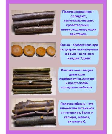 Rodents for rodents of the twig of a wand - Buy Online on GoSupps.com