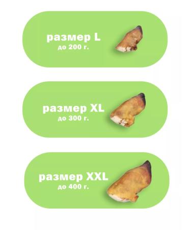 CONJOY Hoof of beef XL from 200 g to 300 g - 3 packages - Buy Online on GoSupps.com