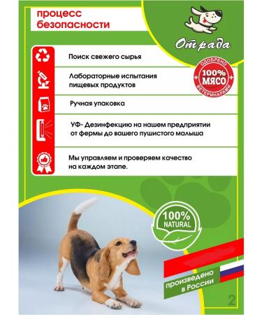 CONJOY Hoof of beef XL from 200 g to 300 g - 3 packages - Buy Online on GoSupps.com