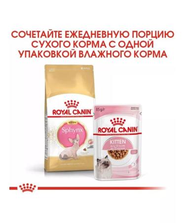 ROYAL CANIN Dry food SPhynx Kitten for kittens Sphinx 400g 2pcs - Buy Online on GoSupps.com