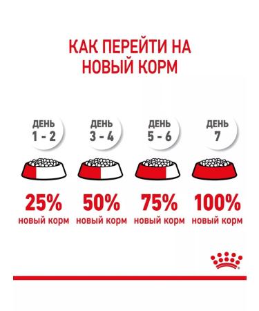 ROYAL CANIN Dry food SPhynx Kitten for kittens Sphinx 400g 2pcs - Buy Online on GoSupps.com