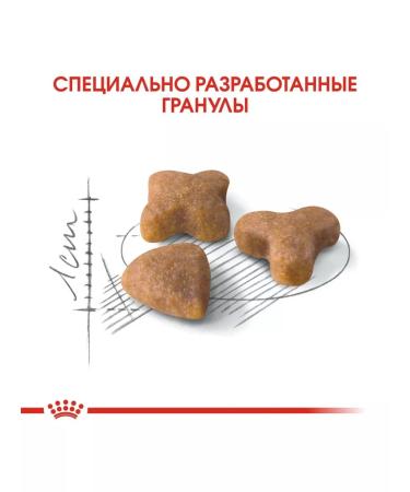 ROYAL CANIN Dry Sensible food for cats from food feelings 400g - Buy Online on GoSupps.com