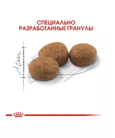 ROYAL CANIN Dry sterilated37 food for sterilized cats 1.2 kg - Buy Online on GoSupps.com