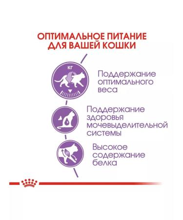 ROYAL CANIN Dry sterilated37 food for sterilized cats 1.2 kg - Buy Online on GoSupps.com