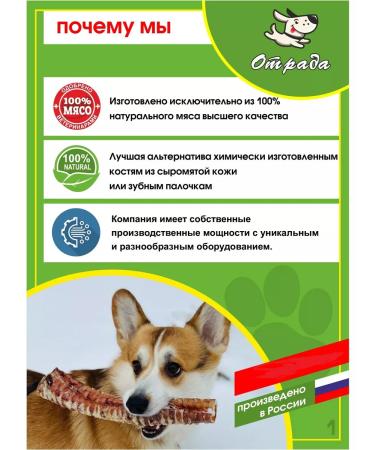 CONJOY Treats for dogs paws chicken 2 packs of 8 pcs - Buy Online on GoSupps.com